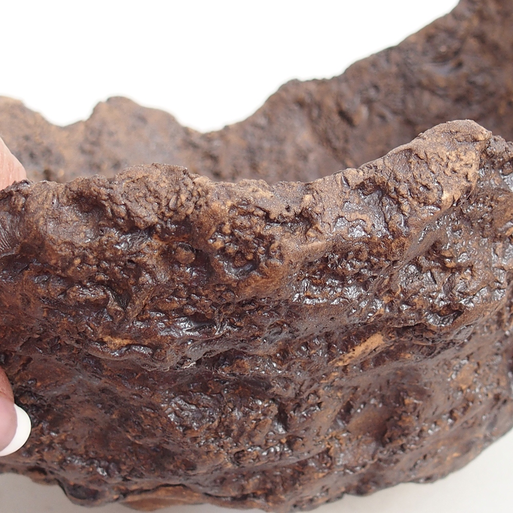 Coquille en céramique 22 x 20 x 17,5 cm , couleur marron