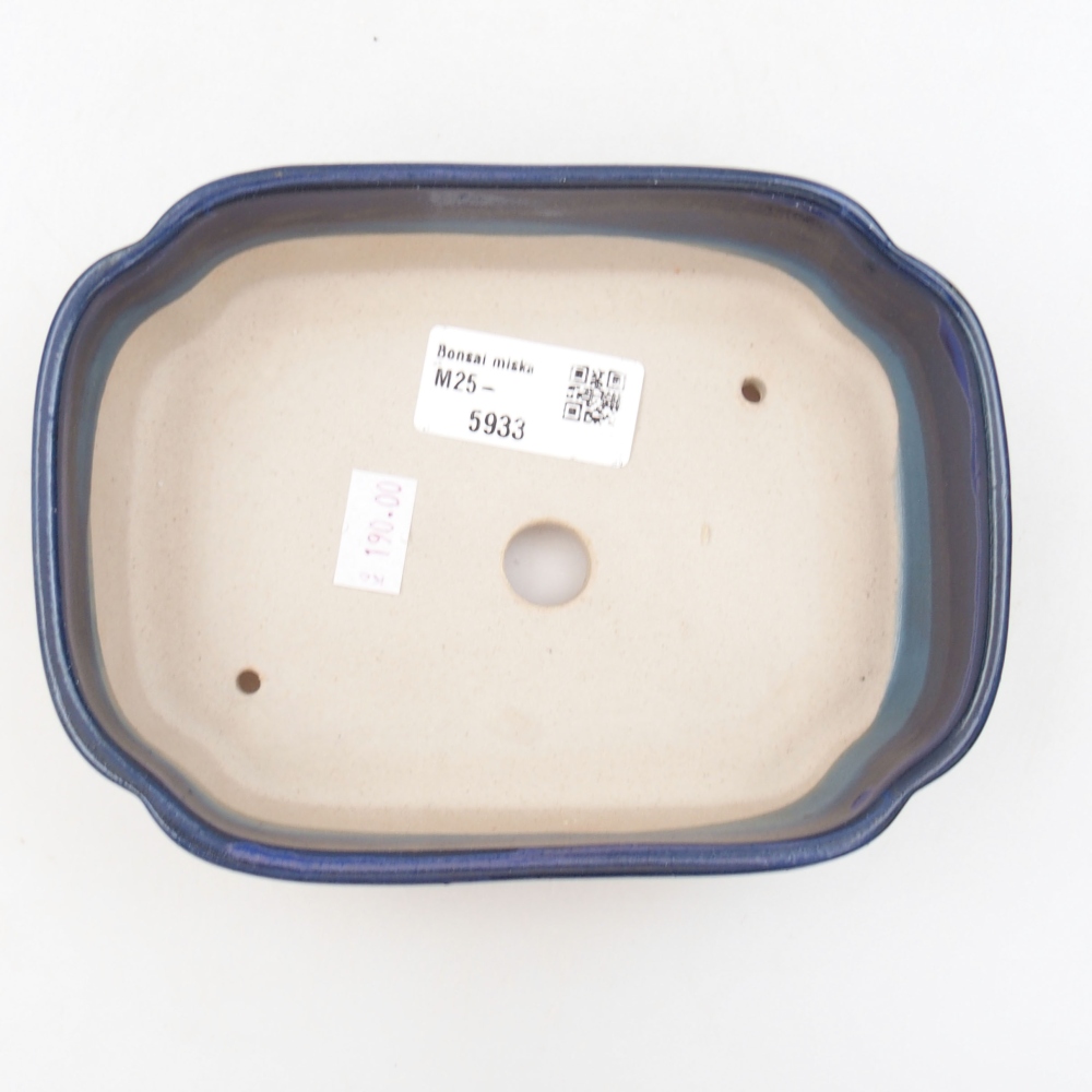 Bol à bonsaï en céramique 22 x 17 x 5 cm, vert