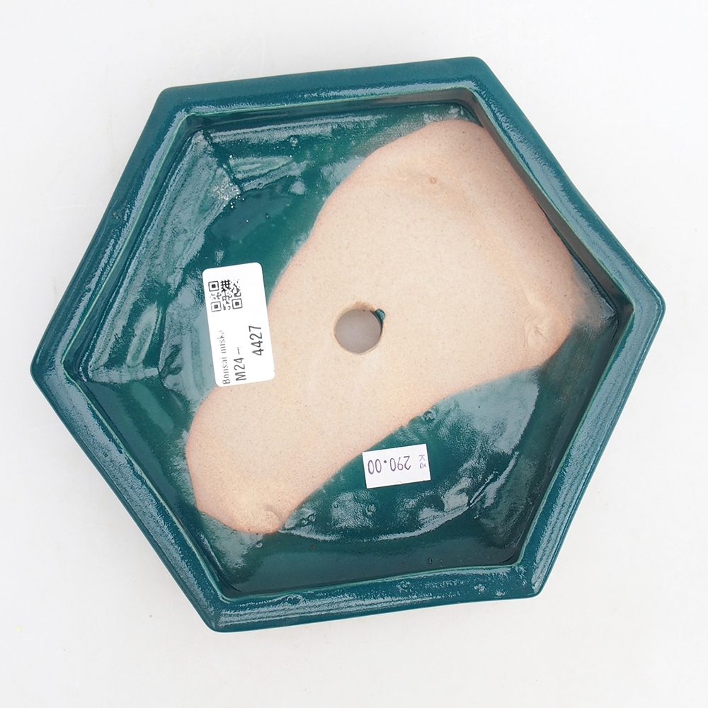 Bol à bonsaï en céramique 20 x 17,5 x 4 cm, vert