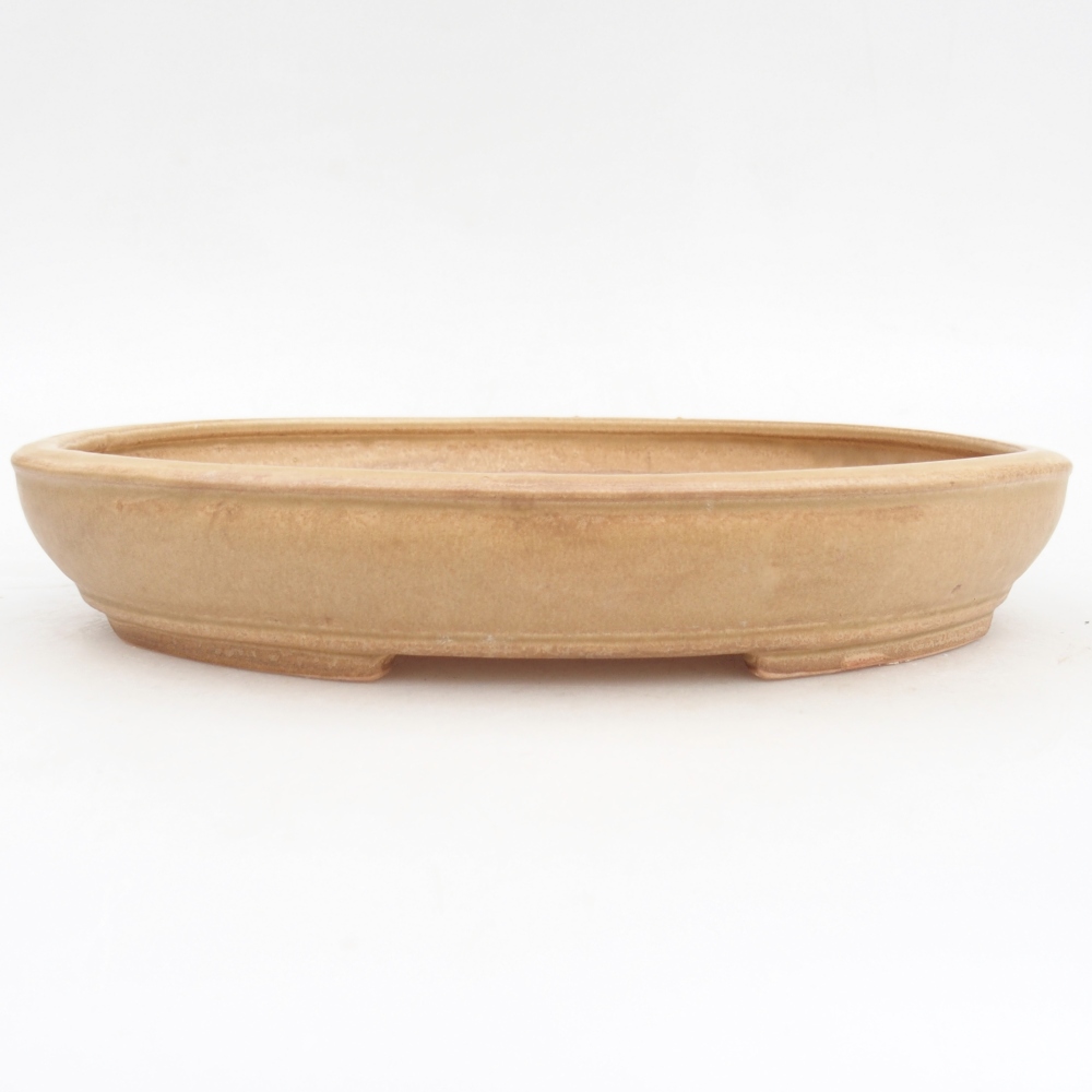 Bol à bonsaï en céramique 24,5 x 20 x 4 cm, couleur beige