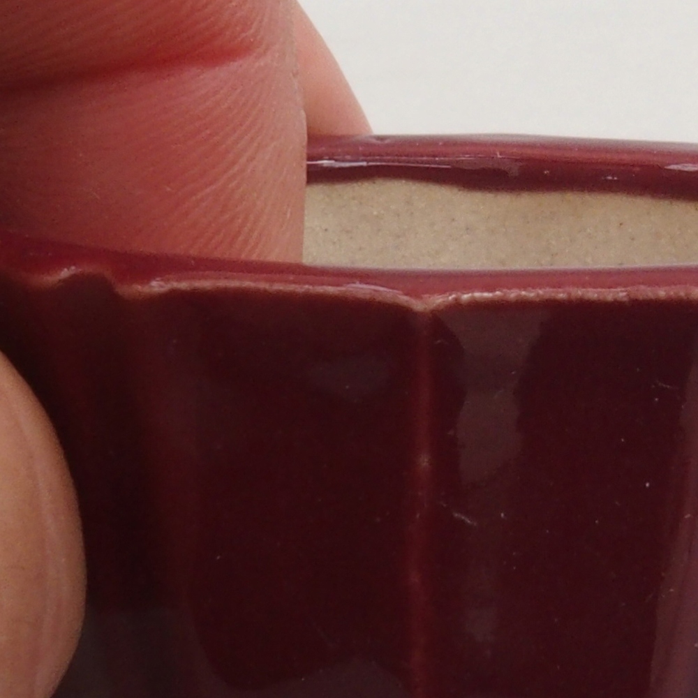Mini bol bonsaï 5 x 5 x 3 cm, bordeaux