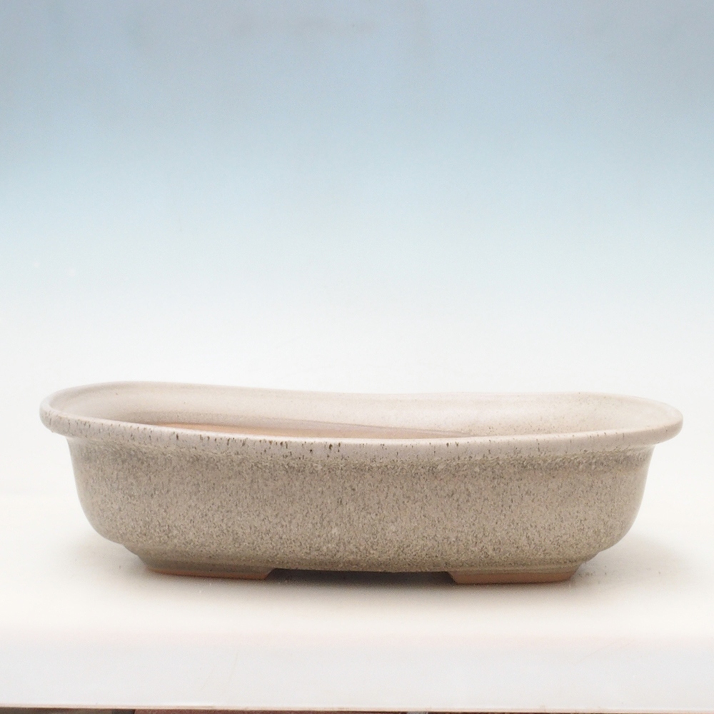 Coupe bonsaï H10 - 37 x 28 x 9 cm - beige