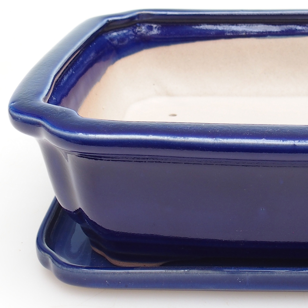 Bol Bonsaï + soucoupe H07 - 30 x 20,5 x 8 cm.