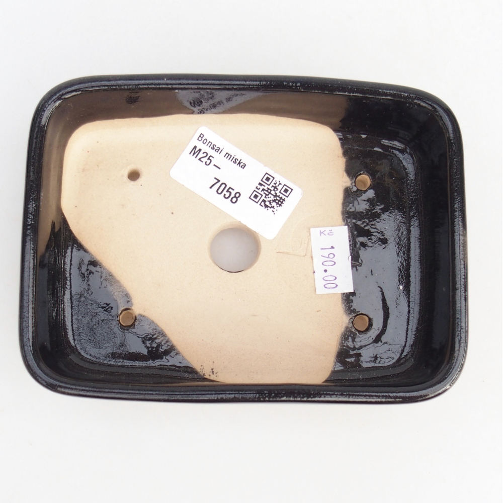 Bol à bonsaï en céramique 12,5 x 9,5 x 3,5 cm, noir