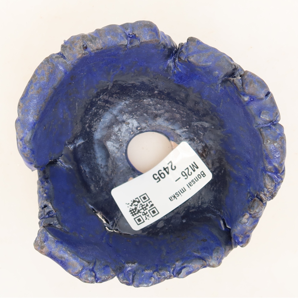 Coquille en céramique  10 x 9,5 x 5,5 cm, couleur bleue