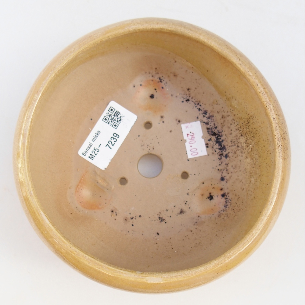 Bol à bonsaï en céramique 14,5 x 14,5 x 7 cm, couleur beige
