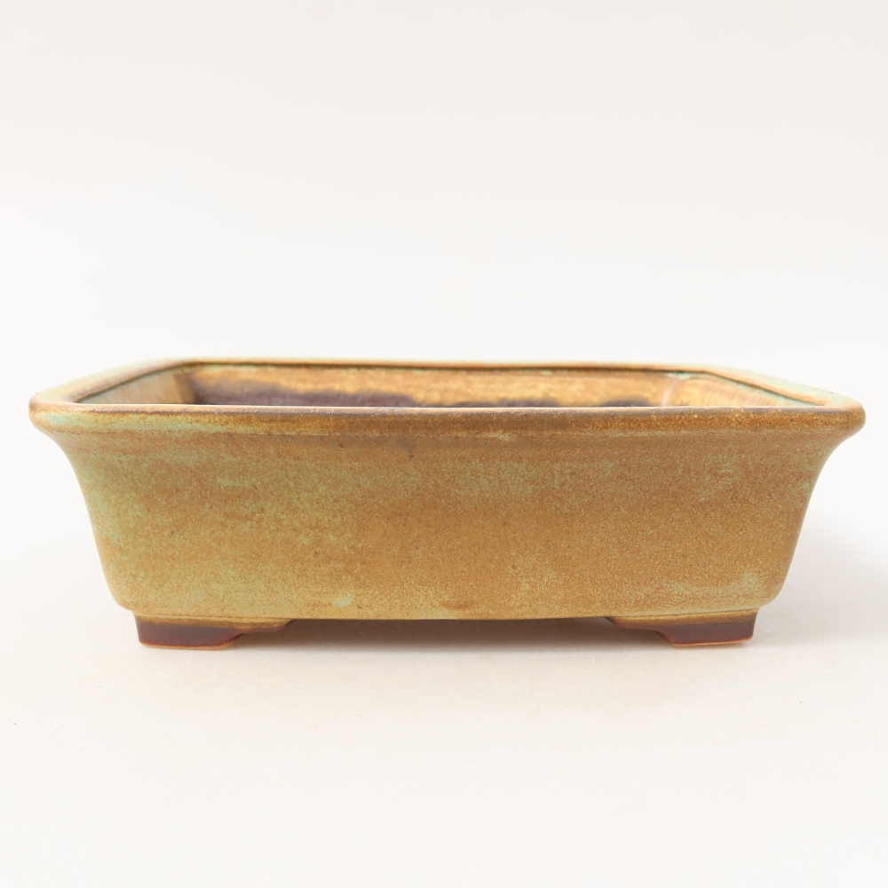 Bol à bonsaï en céramique 17,5 x 14,5 x 5,5 cm, vert