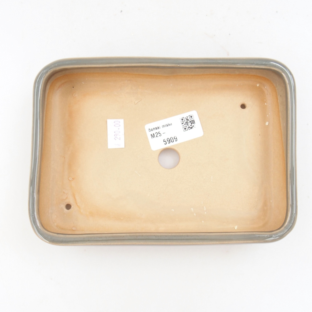 Bol à bonsaï en céramique 22 x 17 x 5 cm, vert