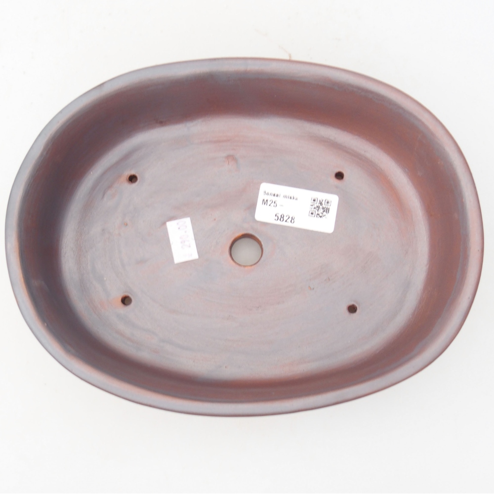 Bol à bonsaï en céramique 22 x 17 x 5 cm, couleur métal