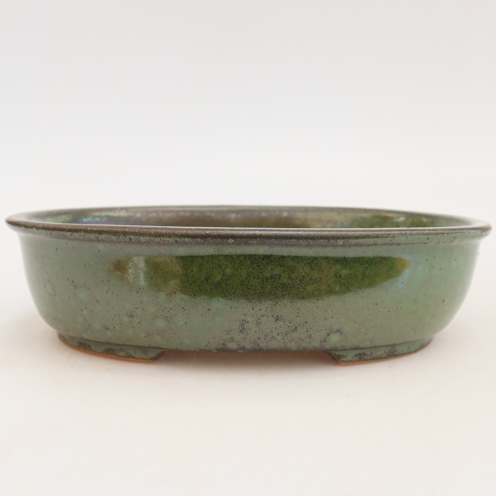 Pot à bonsaï en céramique 19 x 14,5 x 5 cm, couleur verte