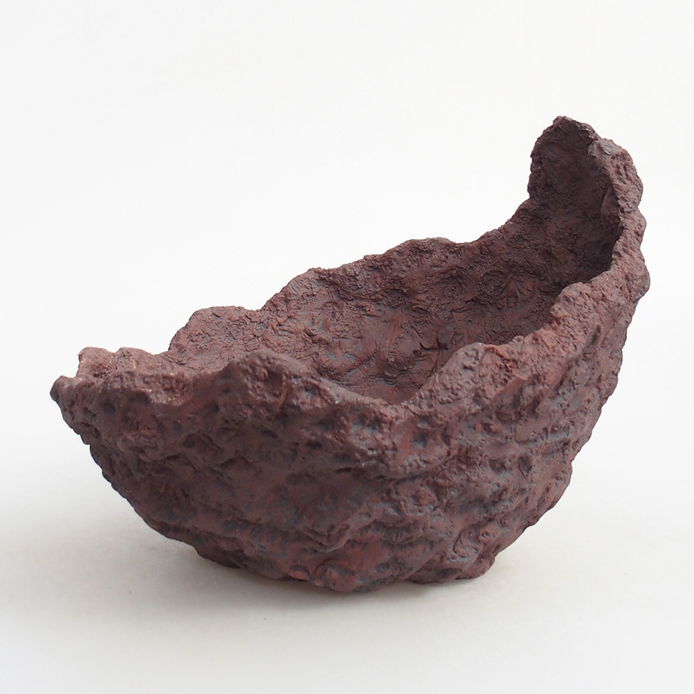 Coquille en céramique 19 x 17 x 16 cm , couleur marron