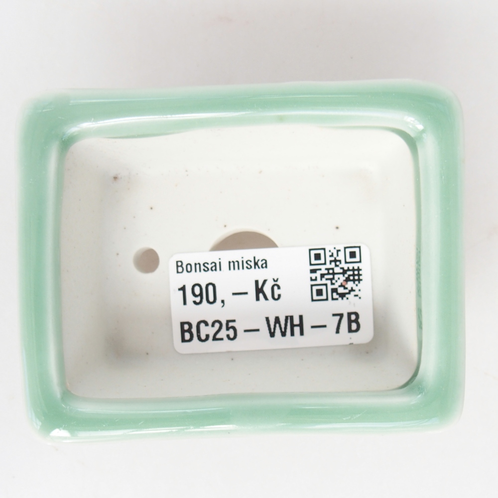 Mini bol bonsaï 8 x 6 x 3 cm, vert