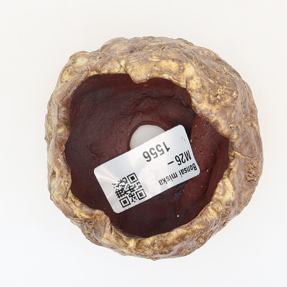 Coquille en céramique  5,5 x 5 x 6 cm , couleur marron