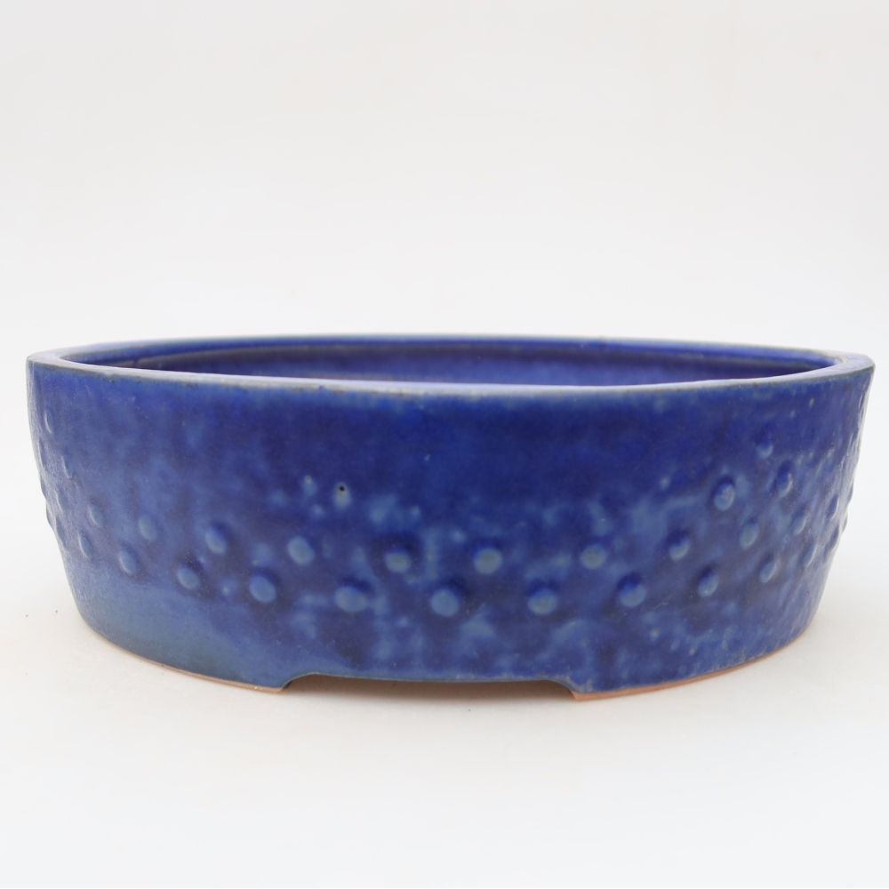 Bol à bonsaï en céramique 24 x 24 x 7 cm, couleur bleu