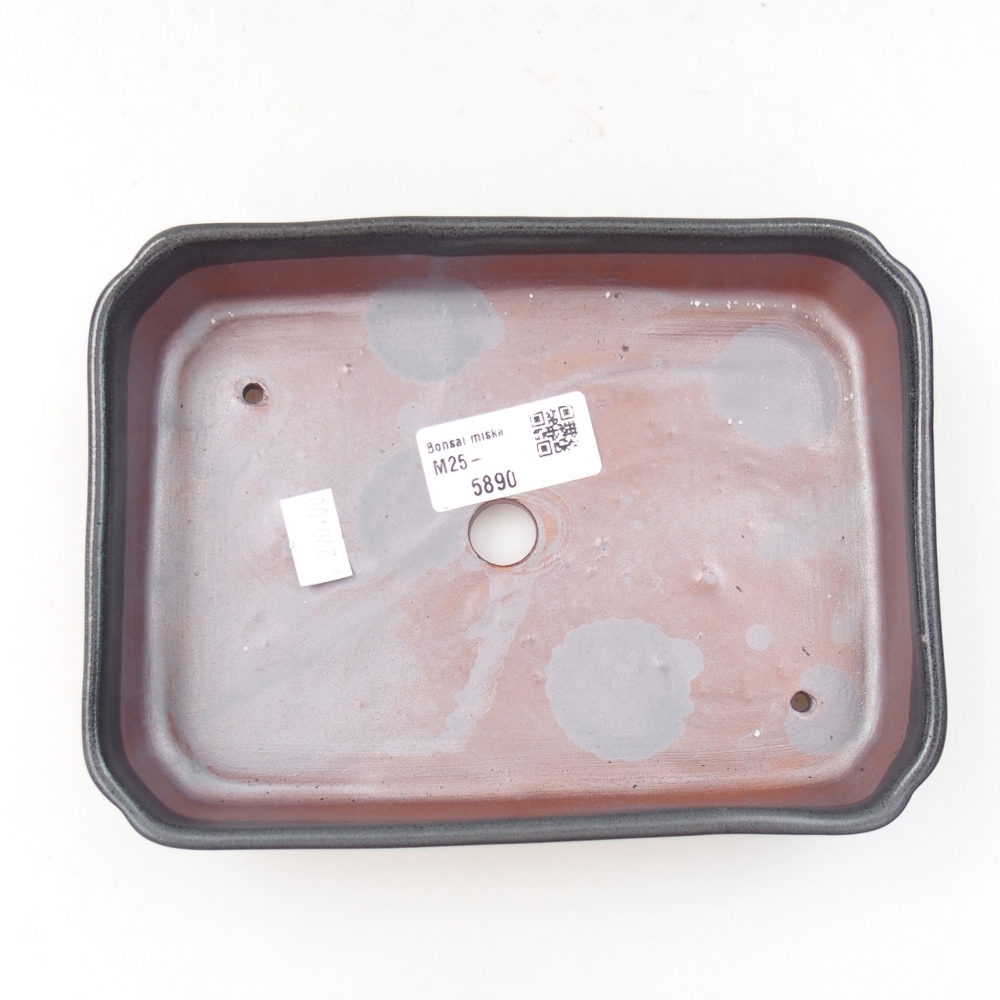 Bol à bonsaï en céramique 22 x 17 x 5 cm, vert