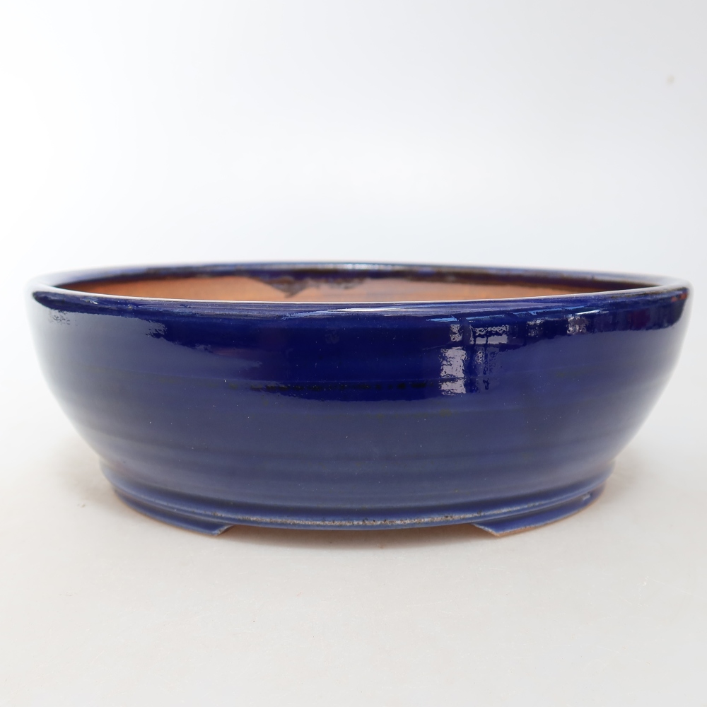 Bol à bonsaï en céramique 19 x 19 x 6 cm, couleur bleu