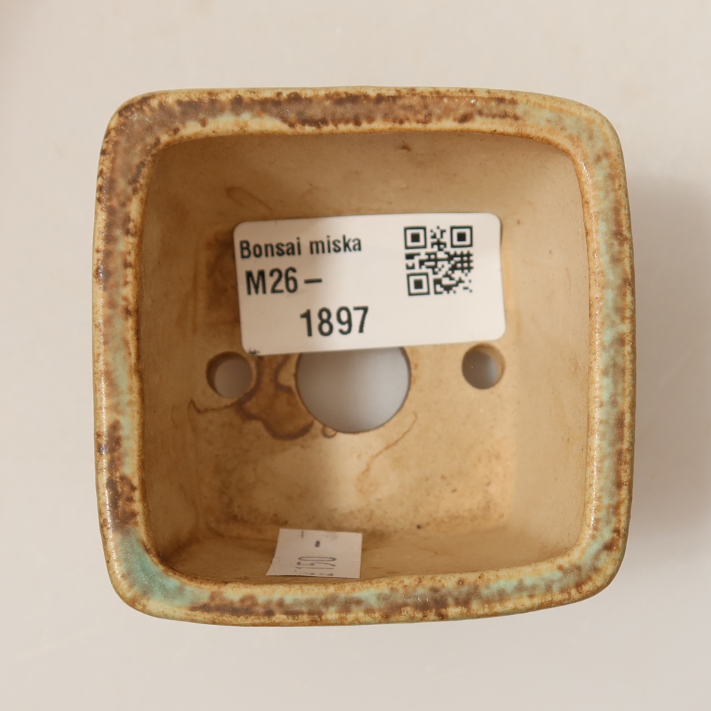 Bol à bonsaï en céramique 6,5 x 6,5 x 4,5 cm, vert