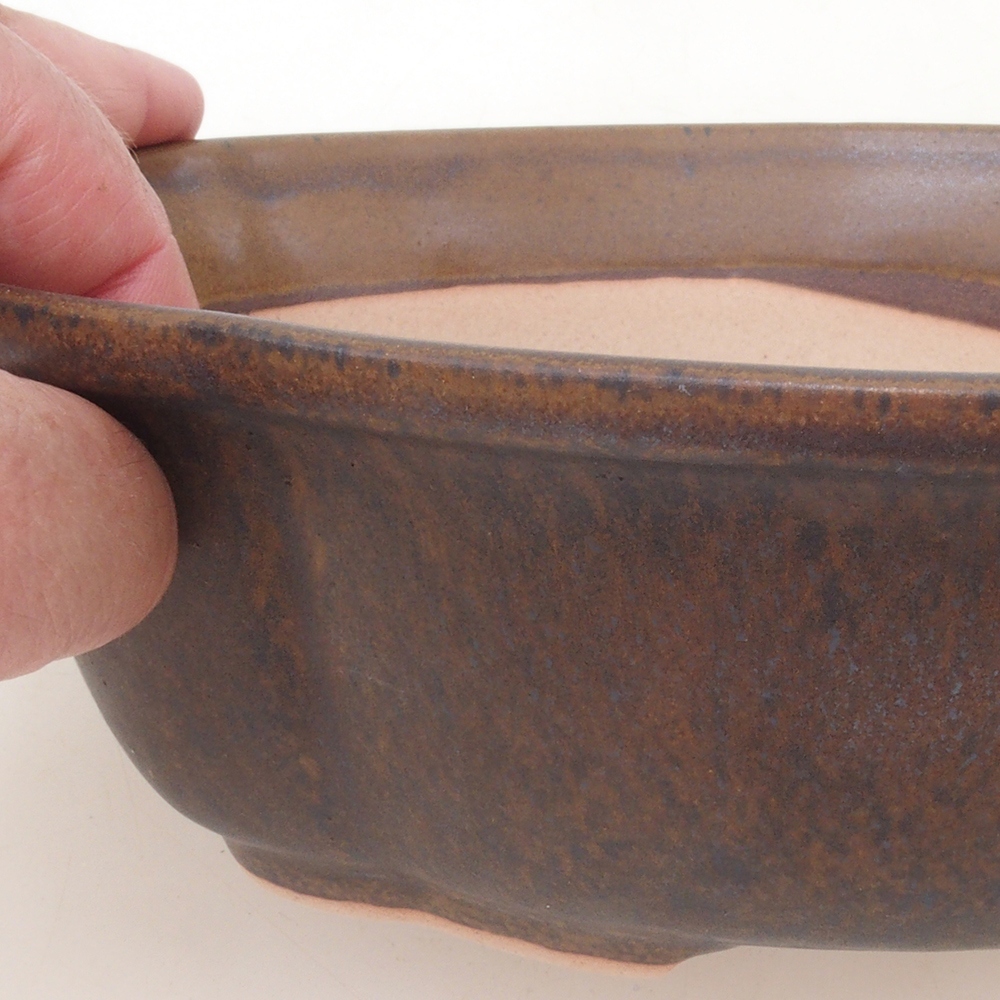 Bol à bonsaï H75 - 19 x 14 x 6,5 cm - brun