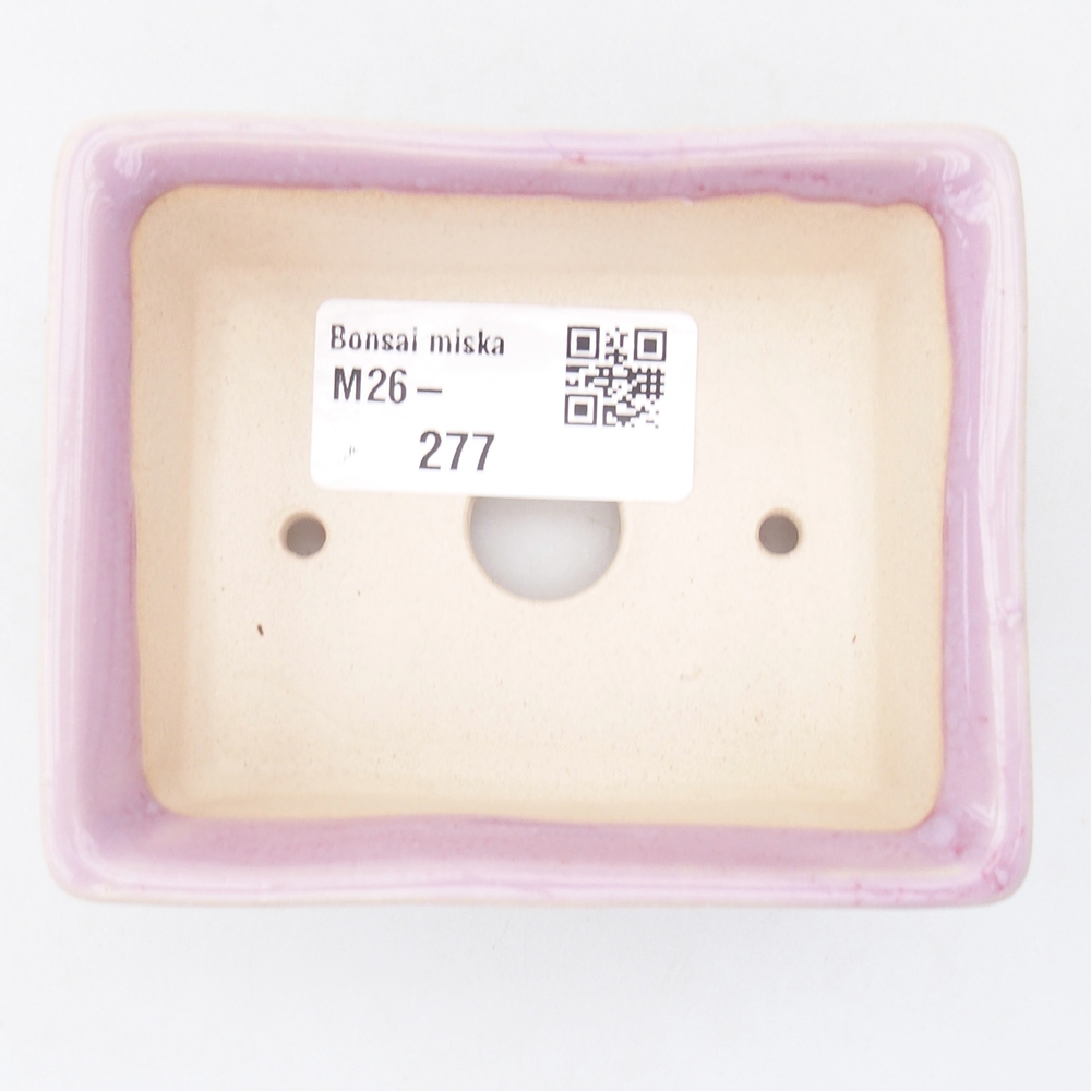 Mini bol bonsaï 9 x 7 x 3,5 cm, rose