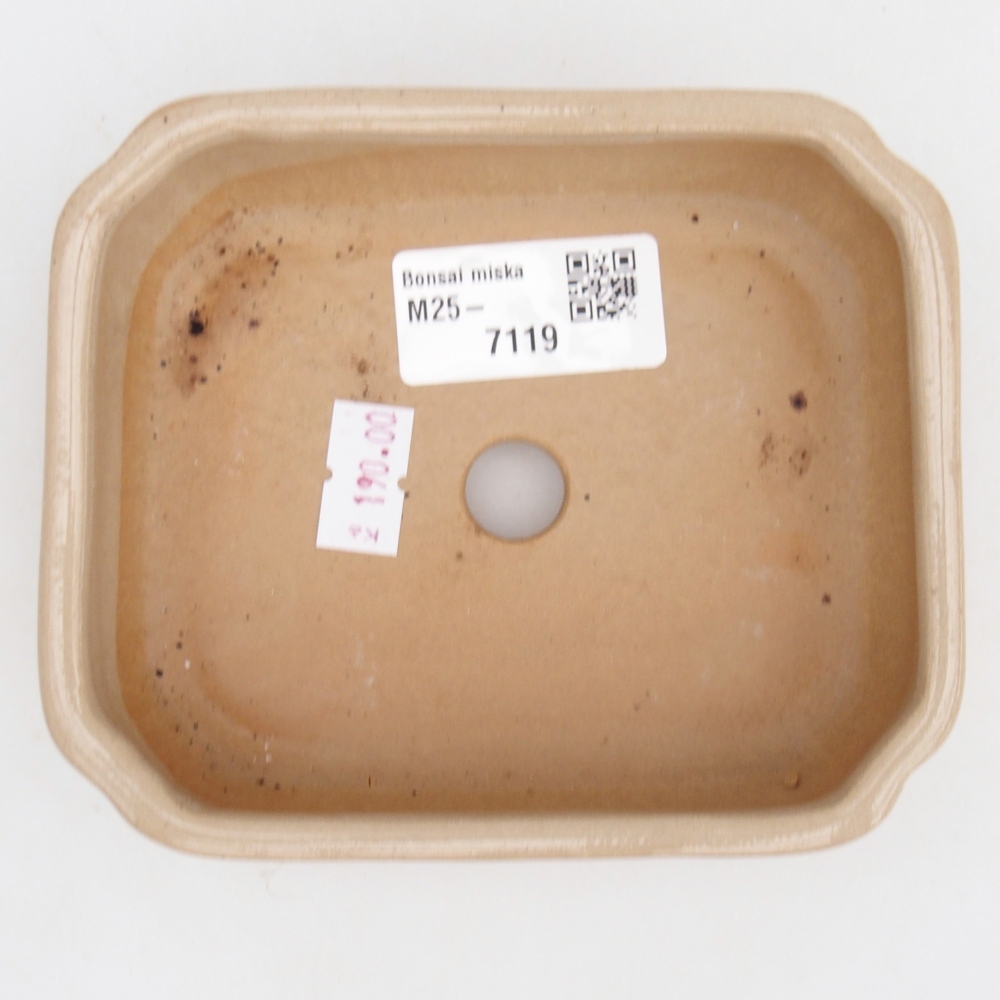 Bol à bonsaï en céramique 12 x 10 x 4 cm, couleur beige