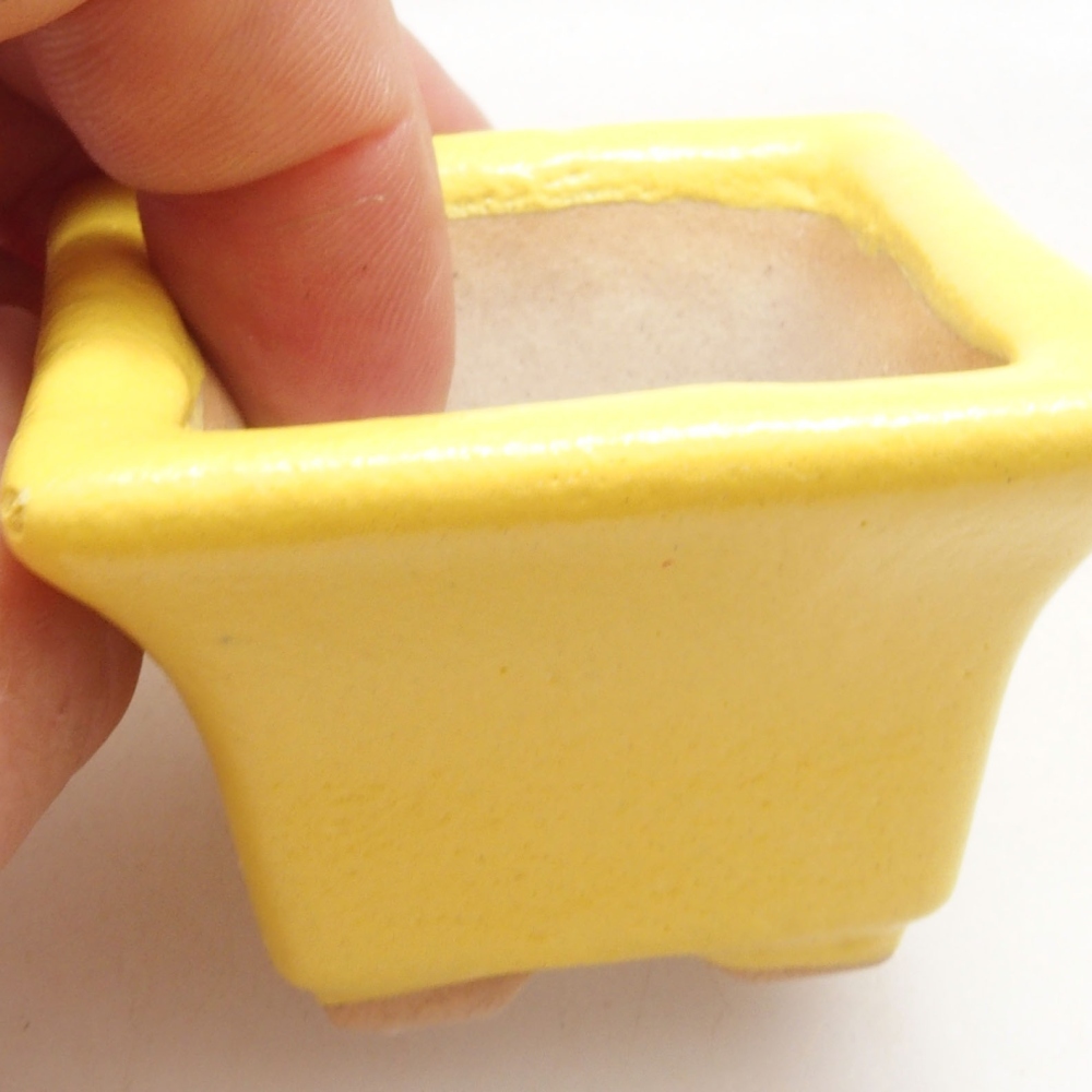 Bol à bonsaï en céramique 5 x 5 x 3,5 cm, jaune
