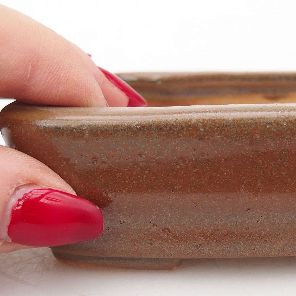 Bol à bonsaï en céramique 125 x 10 x 3 cm, brun