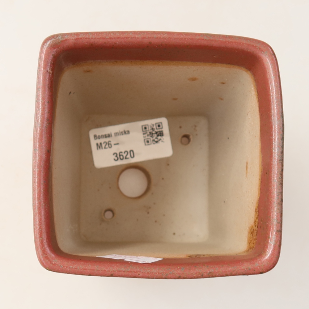Pot à bonsaï en céramique 9 x 9 x 11,5 cm, couleur rose