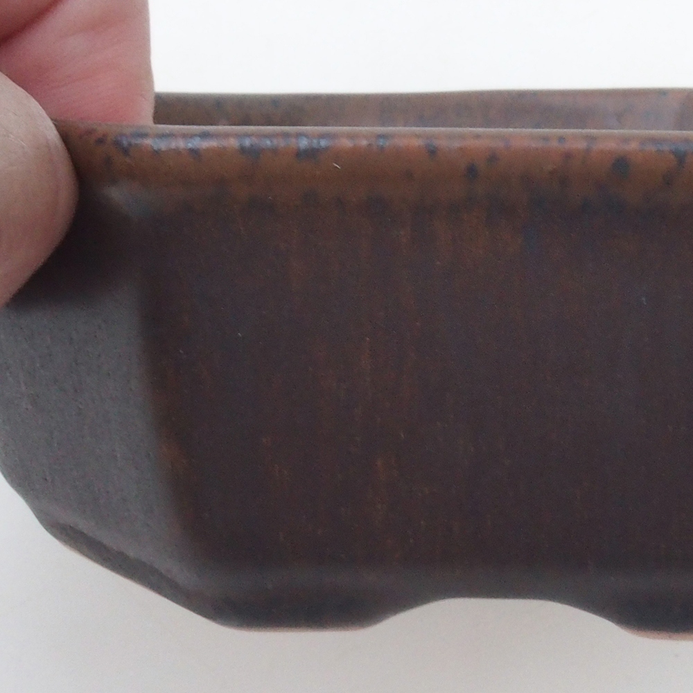 Coupe bonsaï H13 - 12,5 x 12,5 x 4,5 cm - bleu