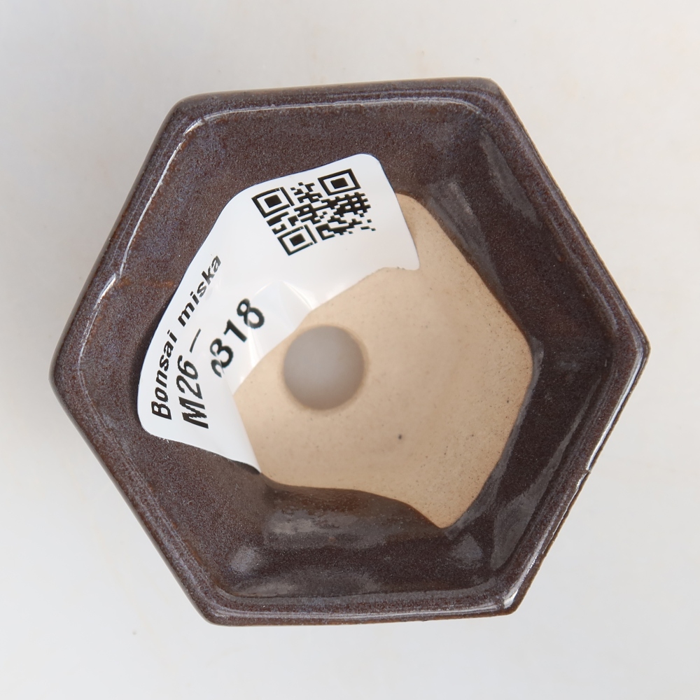 Pot à bonsaï en céramique, 5,5 x 5 x 3 cm, couleur grise