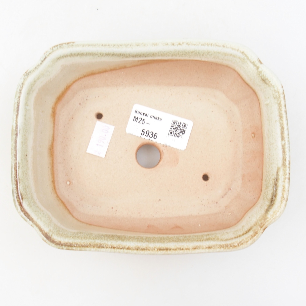 Bol à bonsaï en céramique 22 x 17 x 5 cm, vert