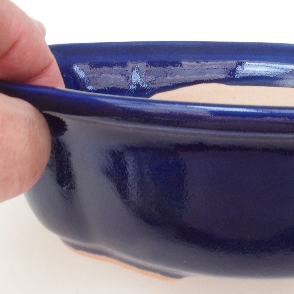 Coupe Bonsaï H75 - 19 x 14 x 6,5 cm - bleu