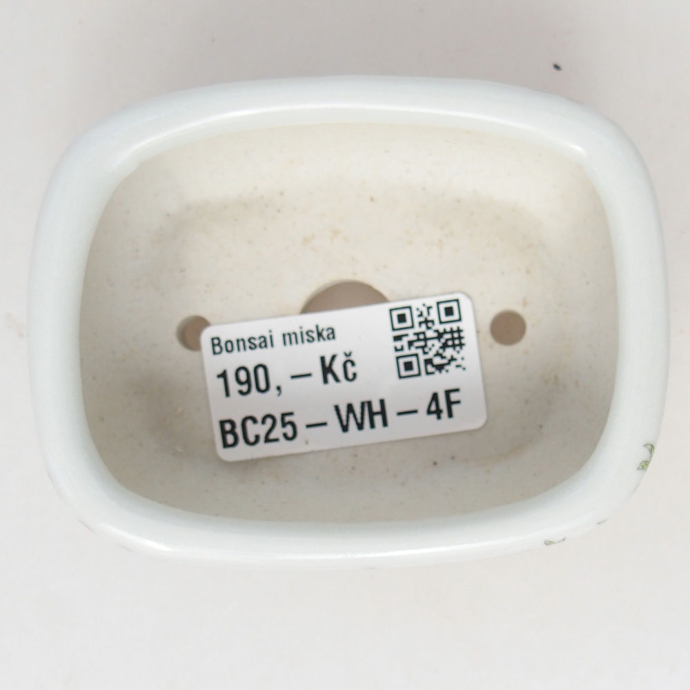 Mini bol bonsaï 8 x 6 x 3 cm, blanc