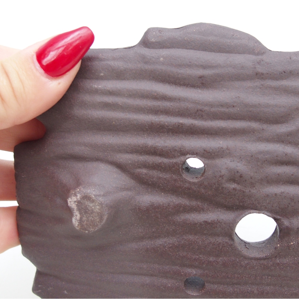 Coquille en céramique 16 x 12 x 3 cm , couleur marron