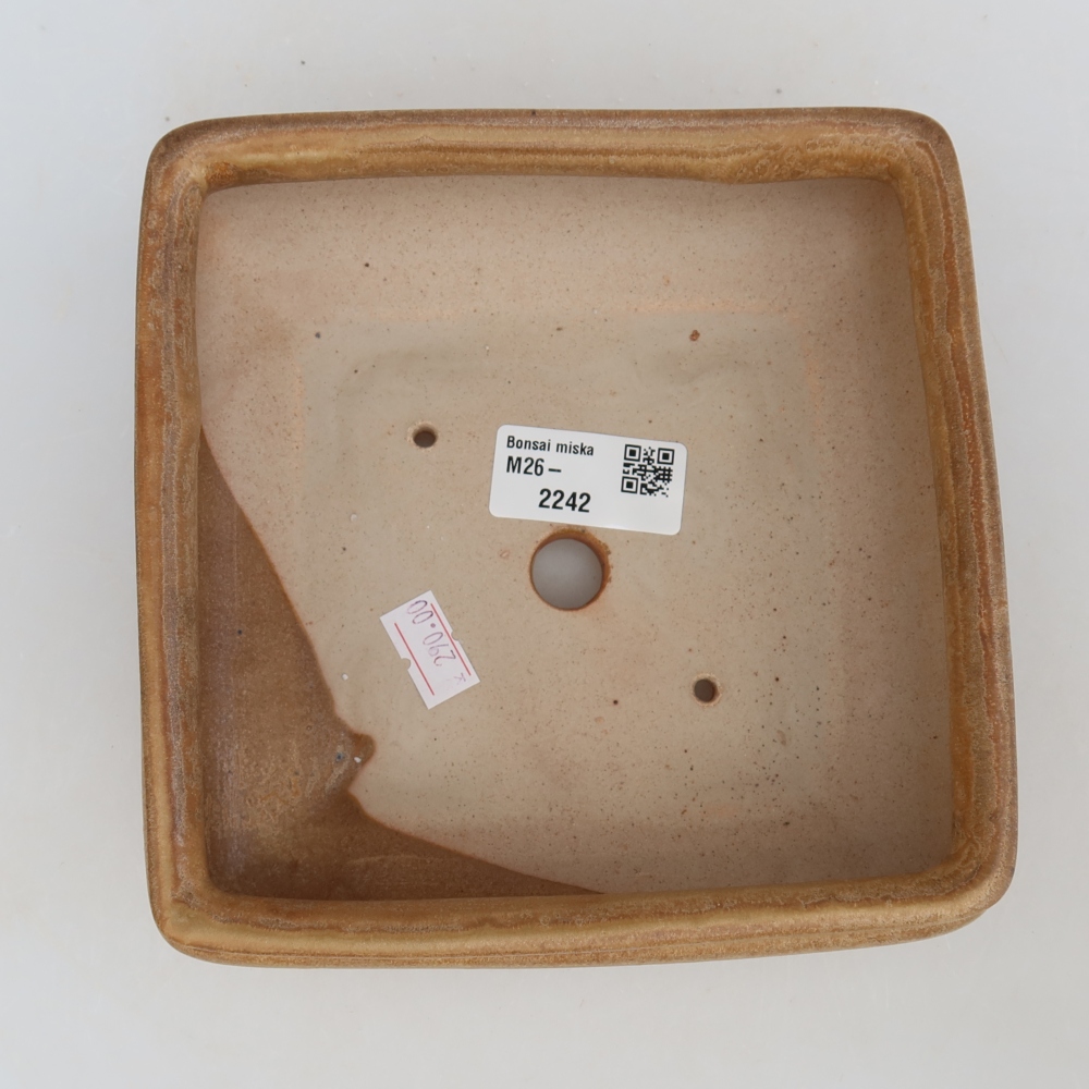 Pot à bonsaï en céramique 15,5 x 15,5 x 6 cm, couleur beige