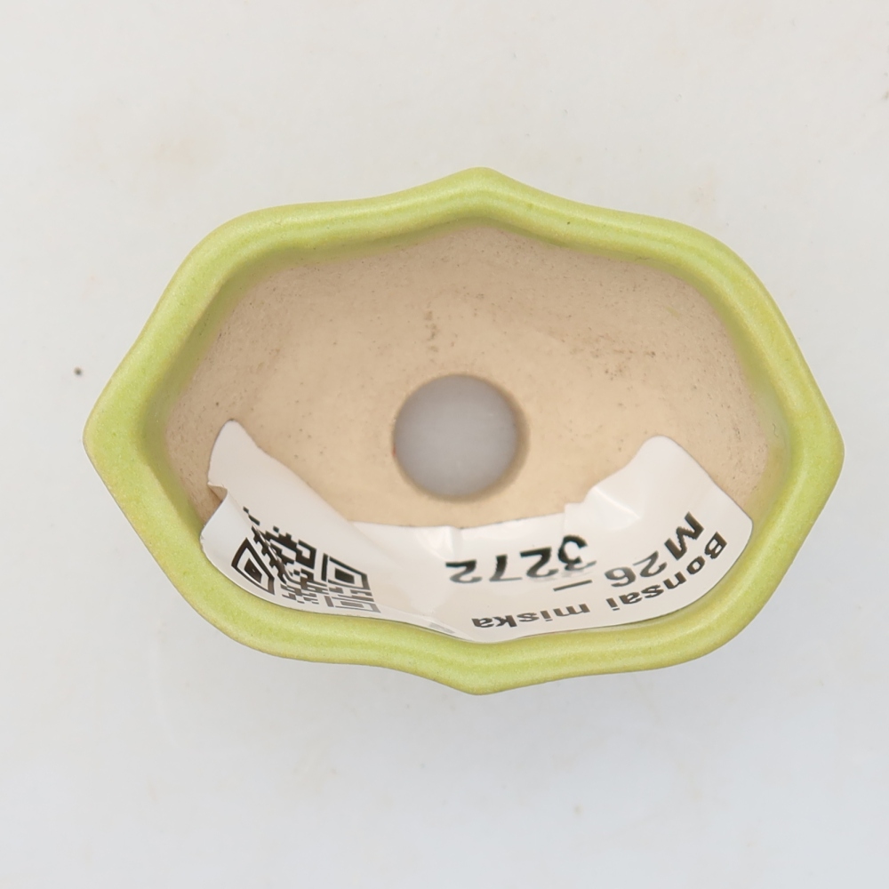 Pot à bonsaï en céramique 4,5 x 3 x 2,5 cm, couleur verte