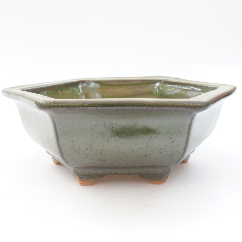 Bol à bonsaï en céramique 22 x 17 x 5 cm, vert