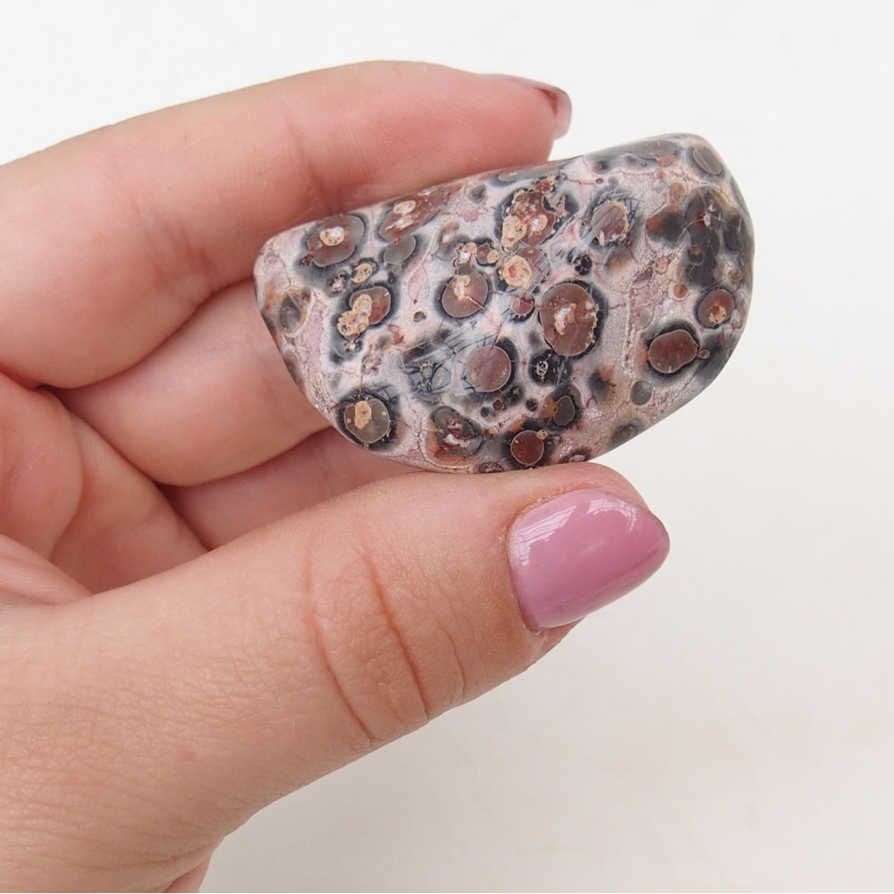 Suiseki - Pierre avec DAI (base en bois)