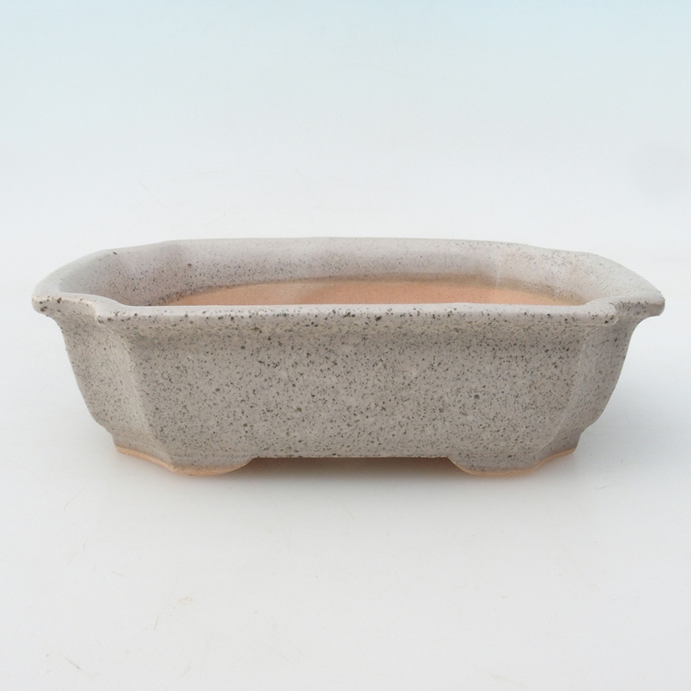 Bol à bonsaï H17 - 15 x 10 x 4 cm.