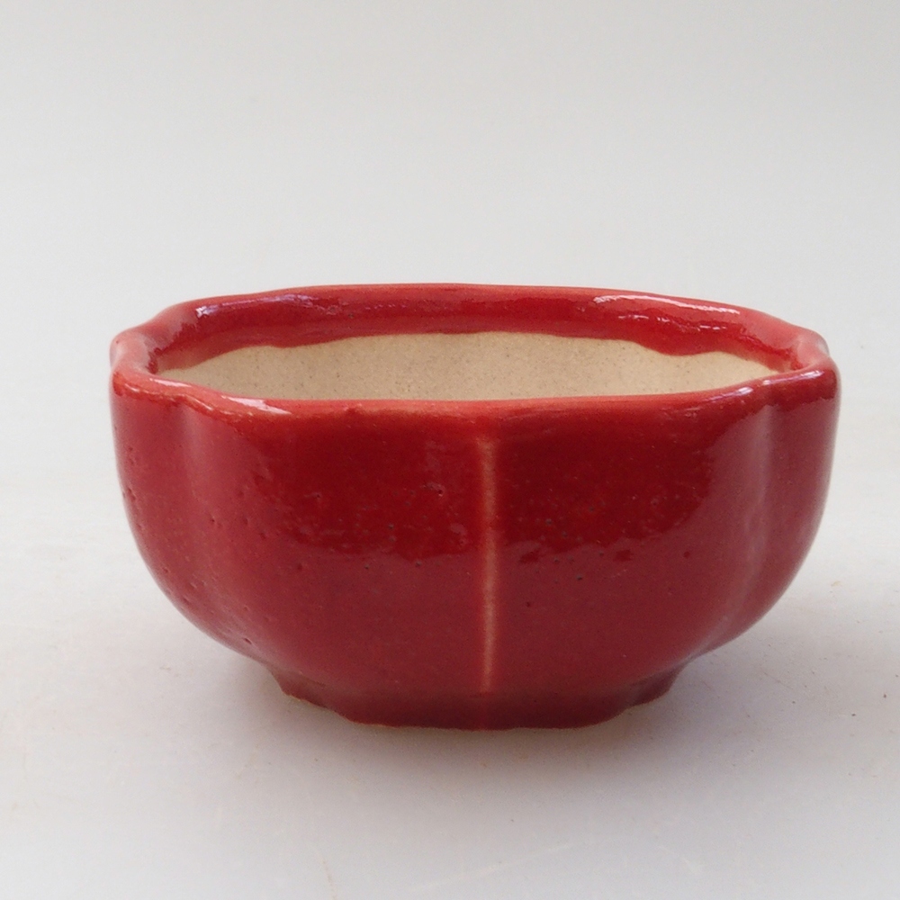Mini bol bonsaï 6 x 5,5 x 2,5 cm, couleur rouge