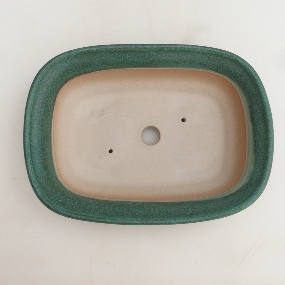 Coupe bonsaï H25 - 23 x 17 x 5,5 cm - vert