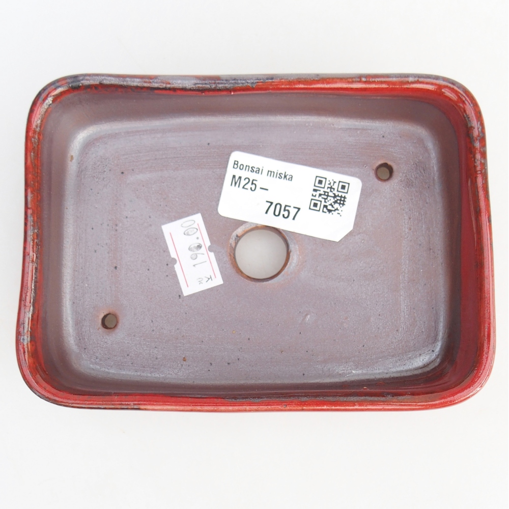 Bol à bonsaï en céramique 12,5 x 9,5 x 3,5 cm, couleur rouge
