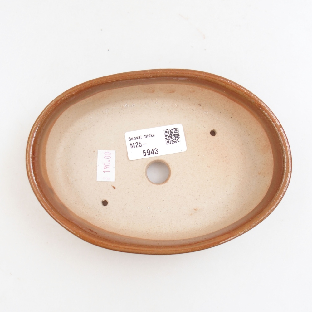 Bol à bonsaï en céramique 22 x 17 x 5 cm, vert