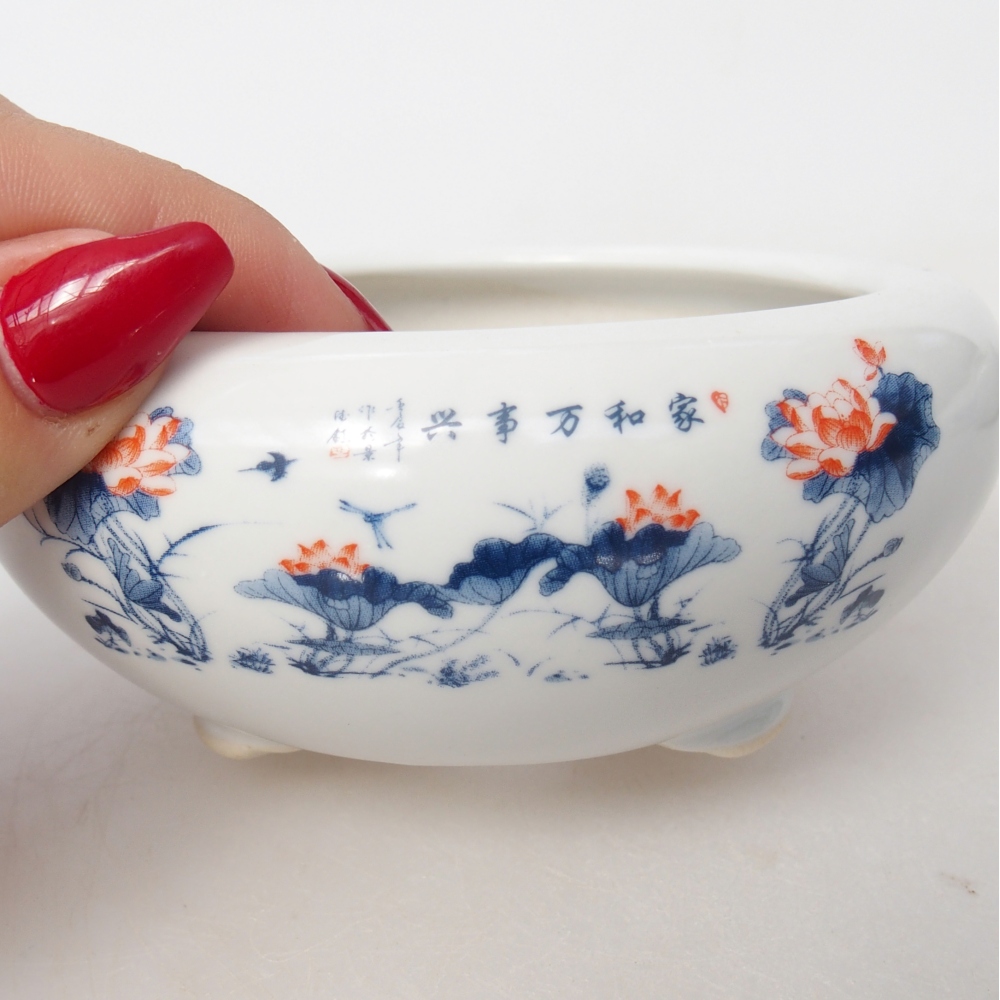 Bol à bonsaï en céramique 10 x 10 x 5 cm, couleur blanc