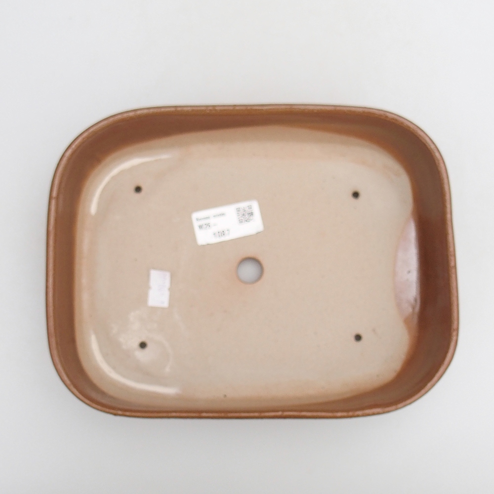 Bol à bonsaï en céramique 23 x 18,5 x 5,5 cm, brun