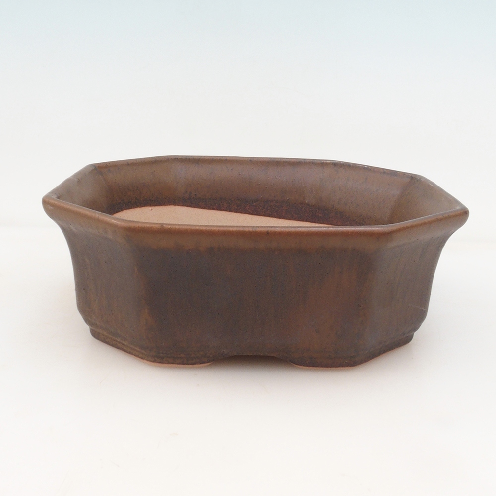 Bol à bonsaï H14 - 17,5 x 17,5 x 6 - brun