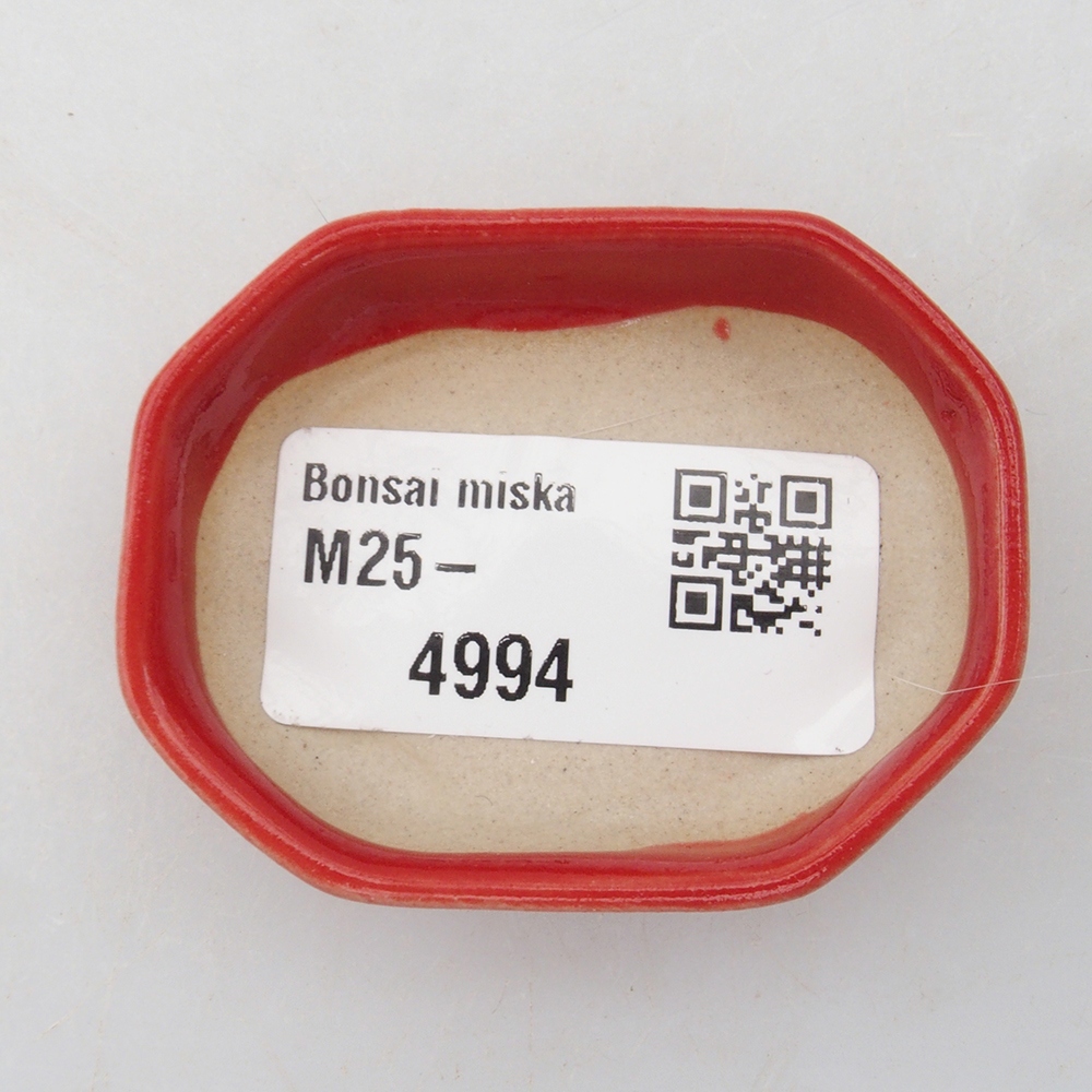 Mini bol bonsaï 5,5 x 4 x 1,5 cm, couleur rouge
