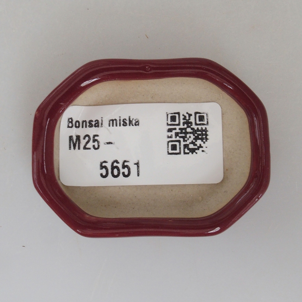 Mini bol bonsaï 5,5 x 4 x 1,5 cm, couleur bordeaux
