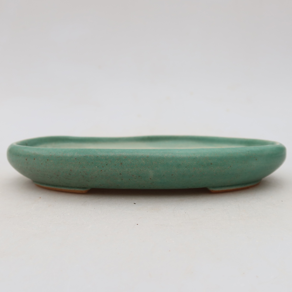 Pot à bonsaï en céramique 17 x 12 x 2,5 cm, couleur verte