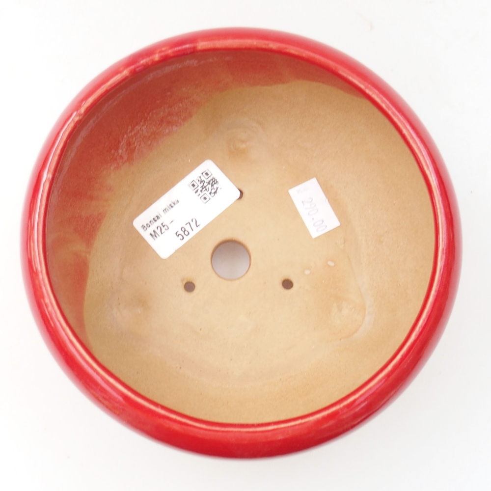 Bol à bonsaï en céramique 22 x 17 x 5 cm, vert