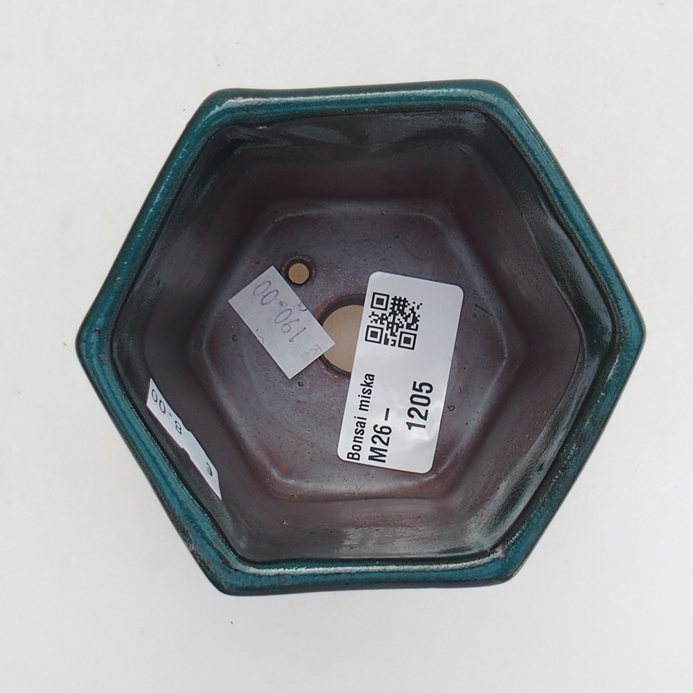 Bol à bonsaï en céramique 9 x 9 x 8 cm, vert